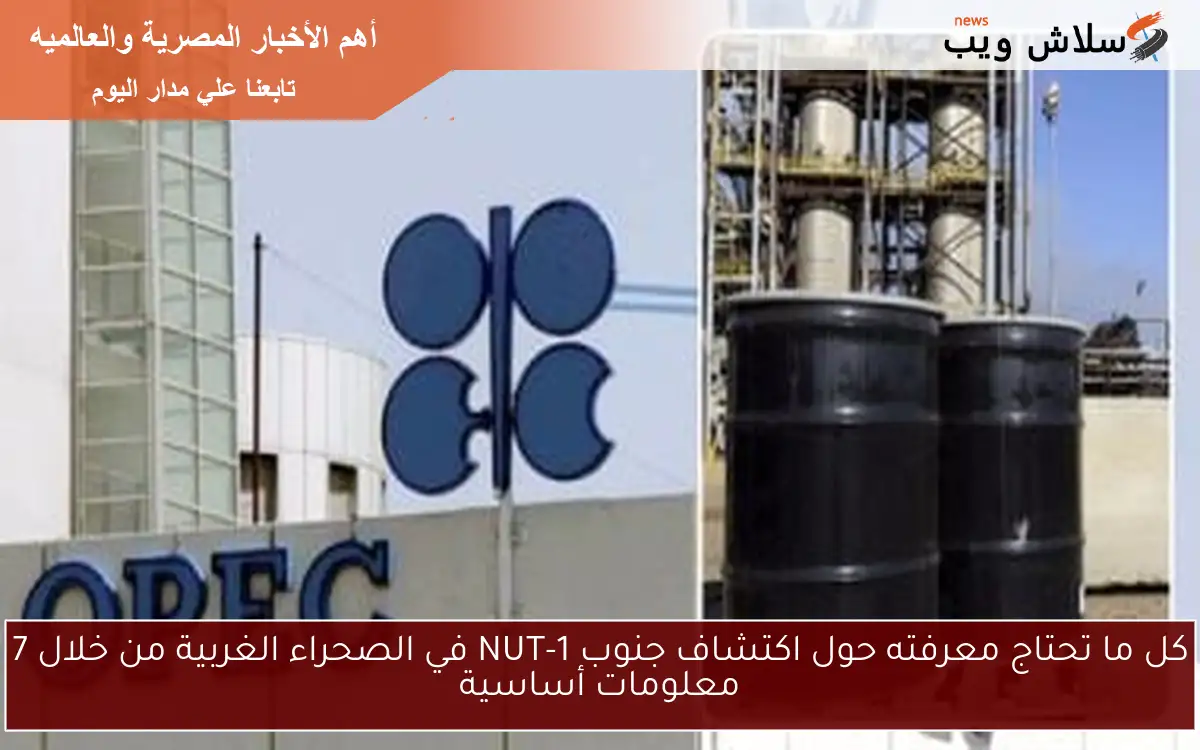 كل ما تحتاج معرفته حول اكتشاف جنوب NUT-1 في الصحراء الغربية من خلال 7 معلومات أساسية