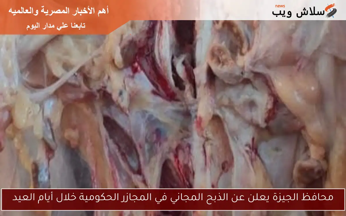 محافظ الجيزة يعلن عن الذبح المجاني في المجازر الحكومية خلال أيام العيد