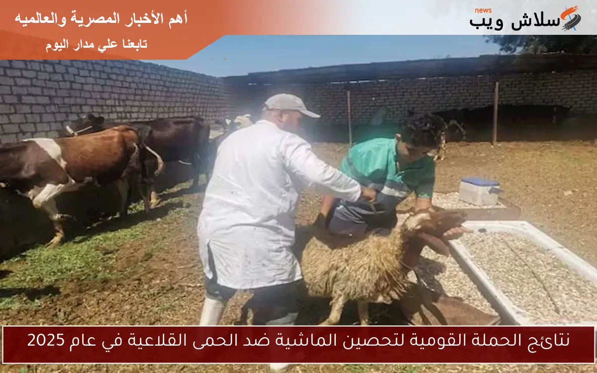 نتائج الحملة القومية لتحصين الماشية ضد الحمى القلاعية في عام 2025