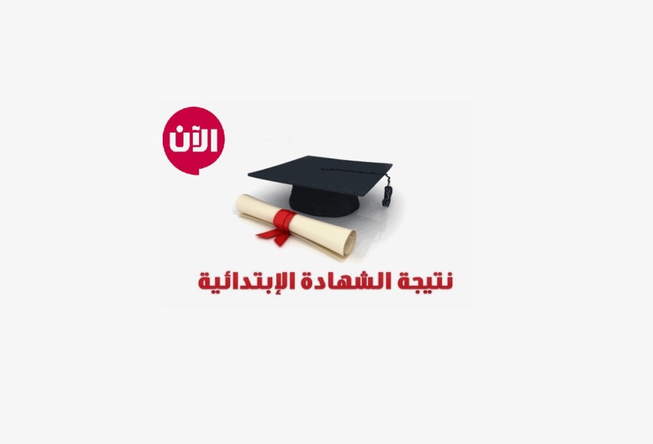 رسميا وعاجل .. نتيجة الصف الرابع والخامس والسادس الابتدائي الأزهري الترم الثاني 2025 natiga.azhar.eg من هنا