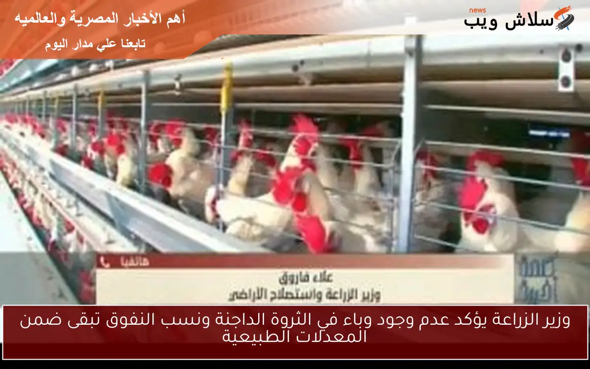 وزير الزراعة يؤكد عدم وجود وباء في الثروة الداجنة ونسب النفوق تبقى ضمن المعدلات الطبيعية