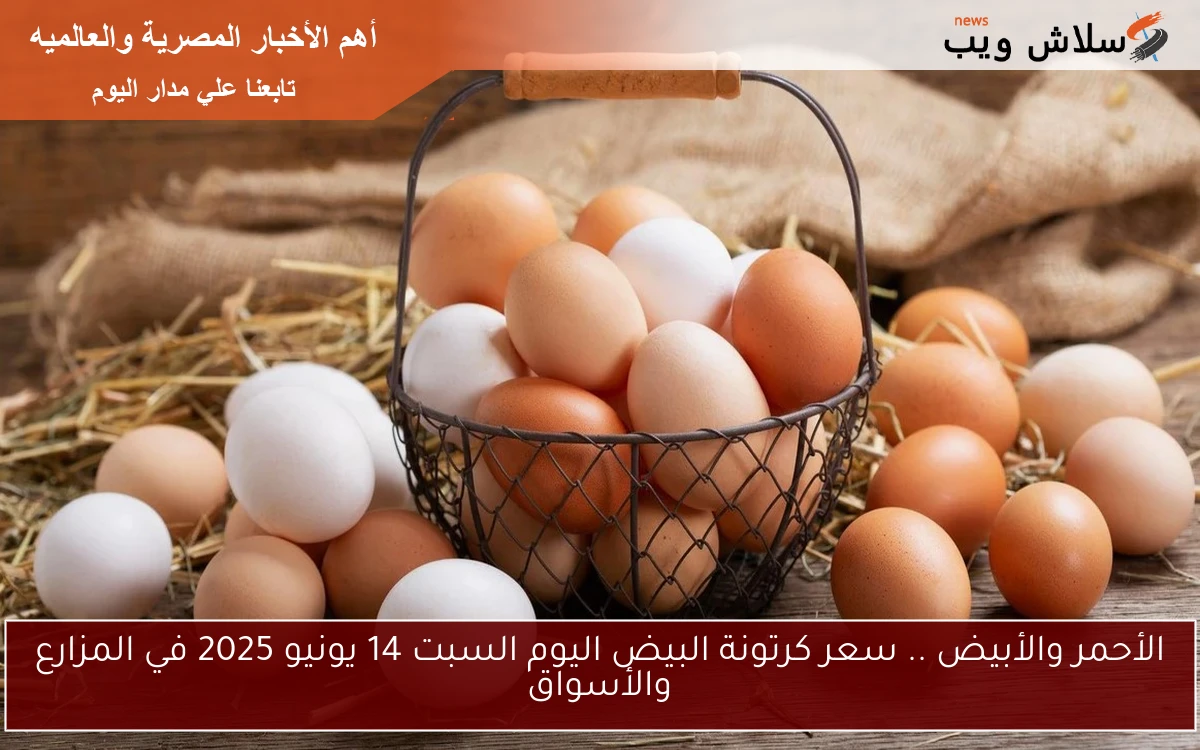 الأحمر والأبيض .. سعر كرتونة البيض اليوم السبت 14 يونيو 2025 في المزارع والأسواق 2 الأحمر والأبيض .. سعر كرتونة البيض اليوم السبت 14 يونيو 2025 في المزارع والأسواق