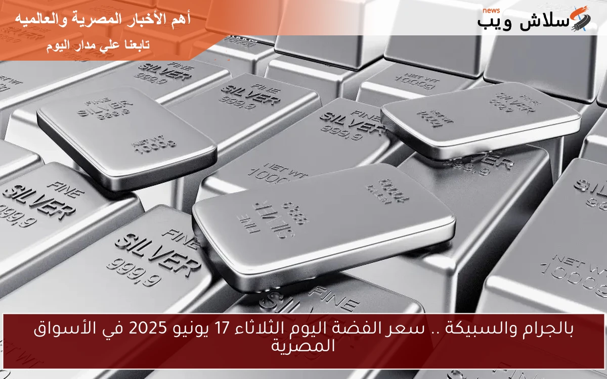 بالجرام والسبيكة .. سعر الفضة اليوم الثلاثاء 17 يونيو 2025 في الأسواق المصرية 2 بالجرام والسبيكة .. سعر الفضة اليوم الثلاثاء 17 يونيو 2025 في الأسواق المصرية
