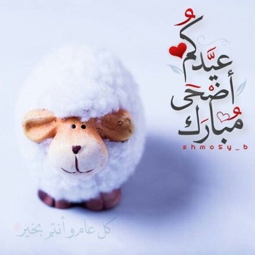 Eid Mubarak .. صور ورسائل تهنئة عيد الأضحى رسمية بالاسم 1446-2025 4 صور ورسائل تهنئة عيد الأضحى رسمية بالاسم 1446-2025