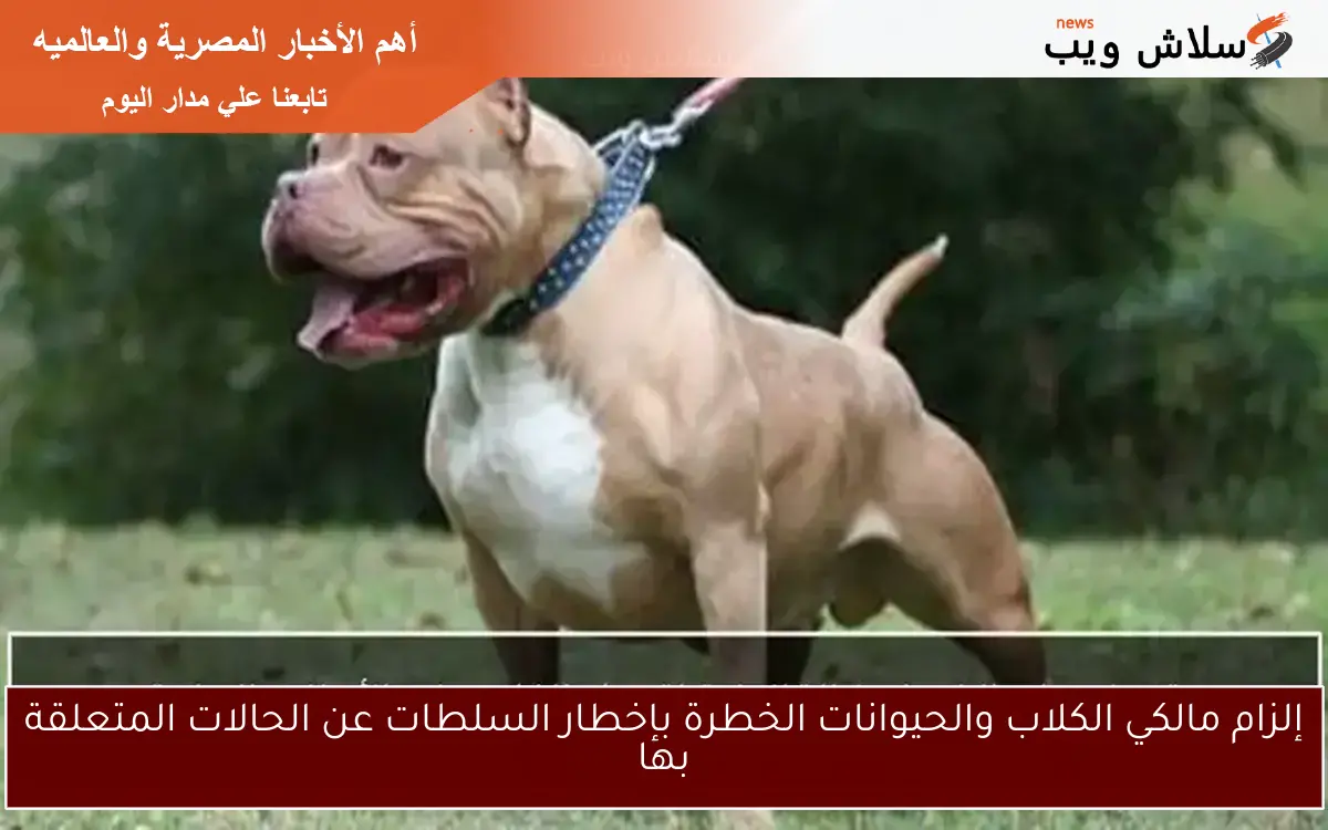 إلزام مالكي الكلاب والحيوانات الخطرة بإخطار السلطات عن الحالات المتعلقة بها 2 إلزام مالكي الكلاب والحيوانات الخطرة بإخطار السلطات عن الحالات المتعلقة بها