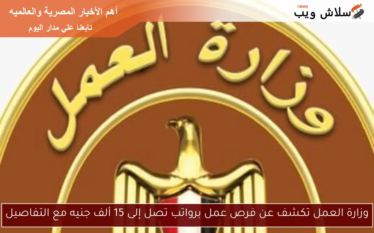 وزارة العمل تكشف عن فرص عمل برواتب تصل إلى 15 ألف جنيه مع التفاصيل 2 وزارة العمل تكشف عن فرص عمل برواتب تصل إلى 15 ألف جنيه مع التفاصيل