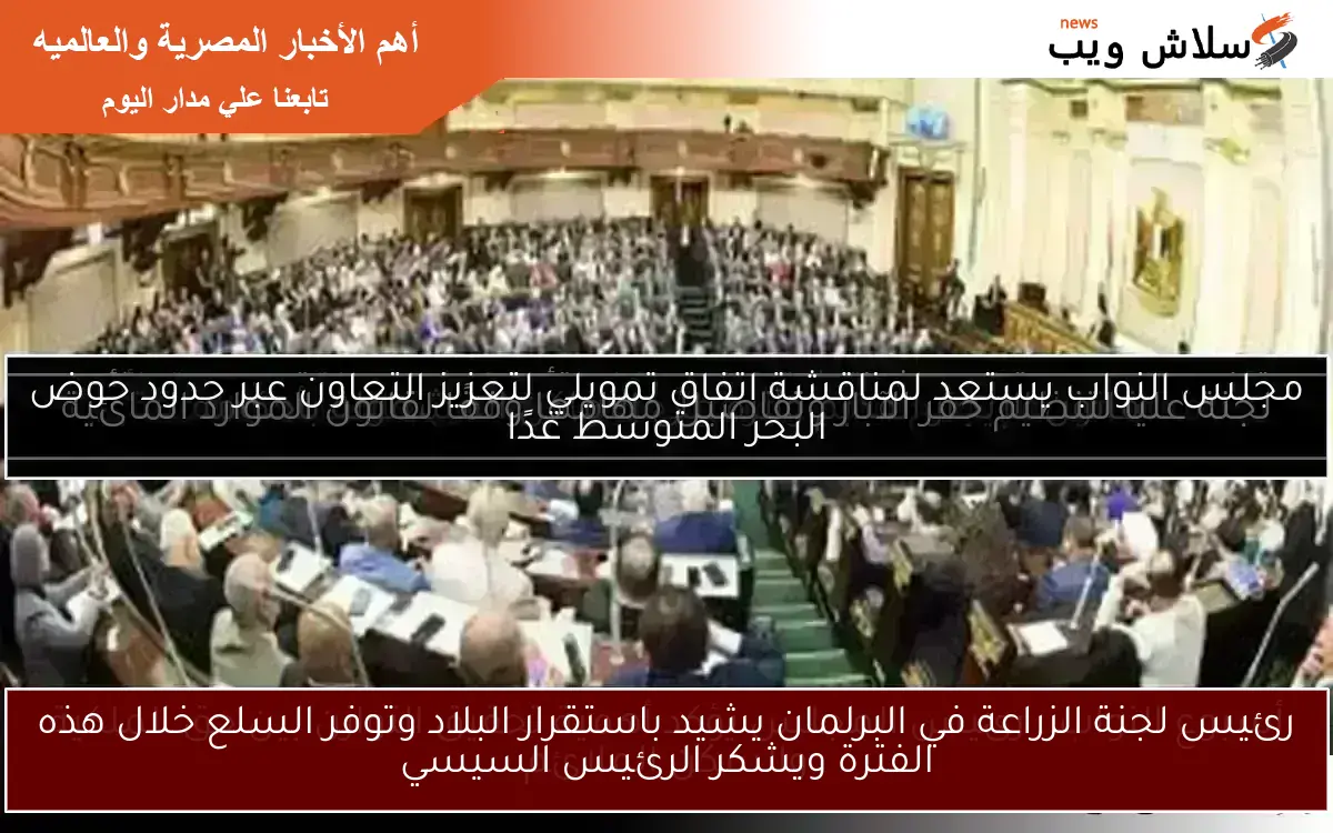 رئيس لجنة الزراعة في البرلمان يشيد باستقرار البلاد وتوفر السلع خلال هذه الفترة ويشكر الرئيس السيسي 2 رئيس لجنة الزراعة في البرلمان يشيد باستقرار البلاد وتوفر السلع خلال هذه الفترة ويشكر الرئيس السيسي
