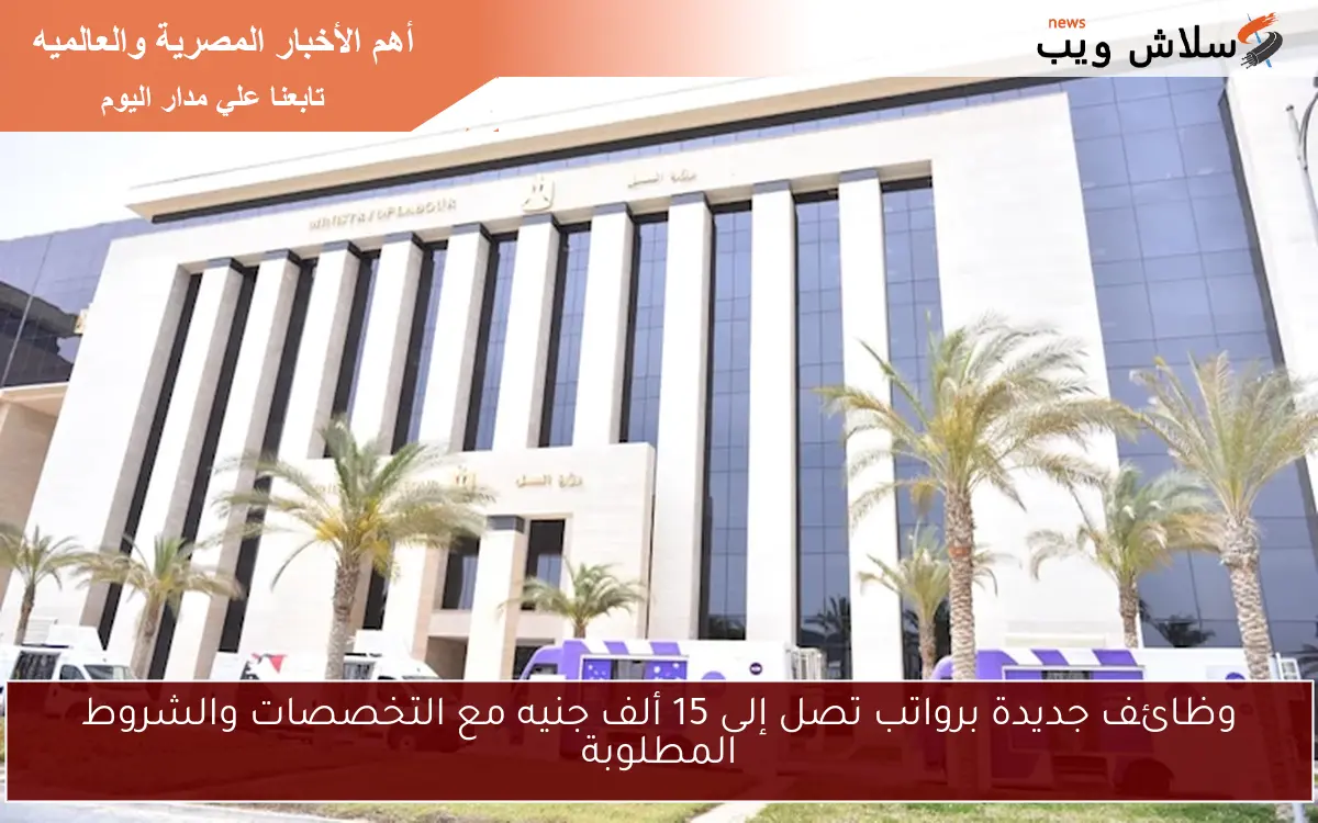 وظائف جديدة برواتب تصل إلى 15 ألف جنيه مع التخصصات والشروط المطلوبة 2 وظائف جديدة برواتب تصل إلى 15 ألف جنيه مع التخصصات والشروط المطلوبة