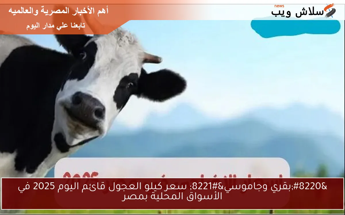 "بقري وجاموسي" سعر كيلو العجول قائم اليوم 2025 في الأسواق المحلية بمصر 2 “بقري وجاموسي” سعر كيلو العجول قائم اليوم 2025 في الأسواق المحلية بمصر
