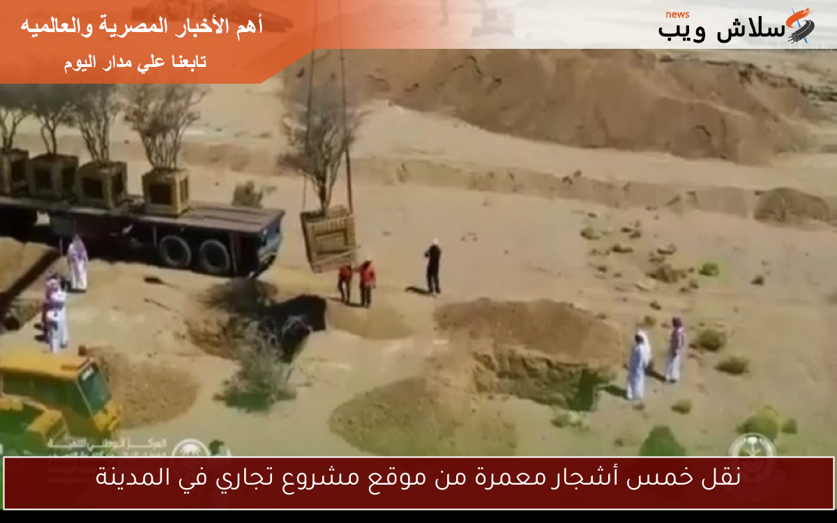 نقل خمس أشجار معمرة من موقع مشروع تجاري في المدينة 2 نقل خمس أشجار معمرة من موقع مشروع تجاري في المدينة