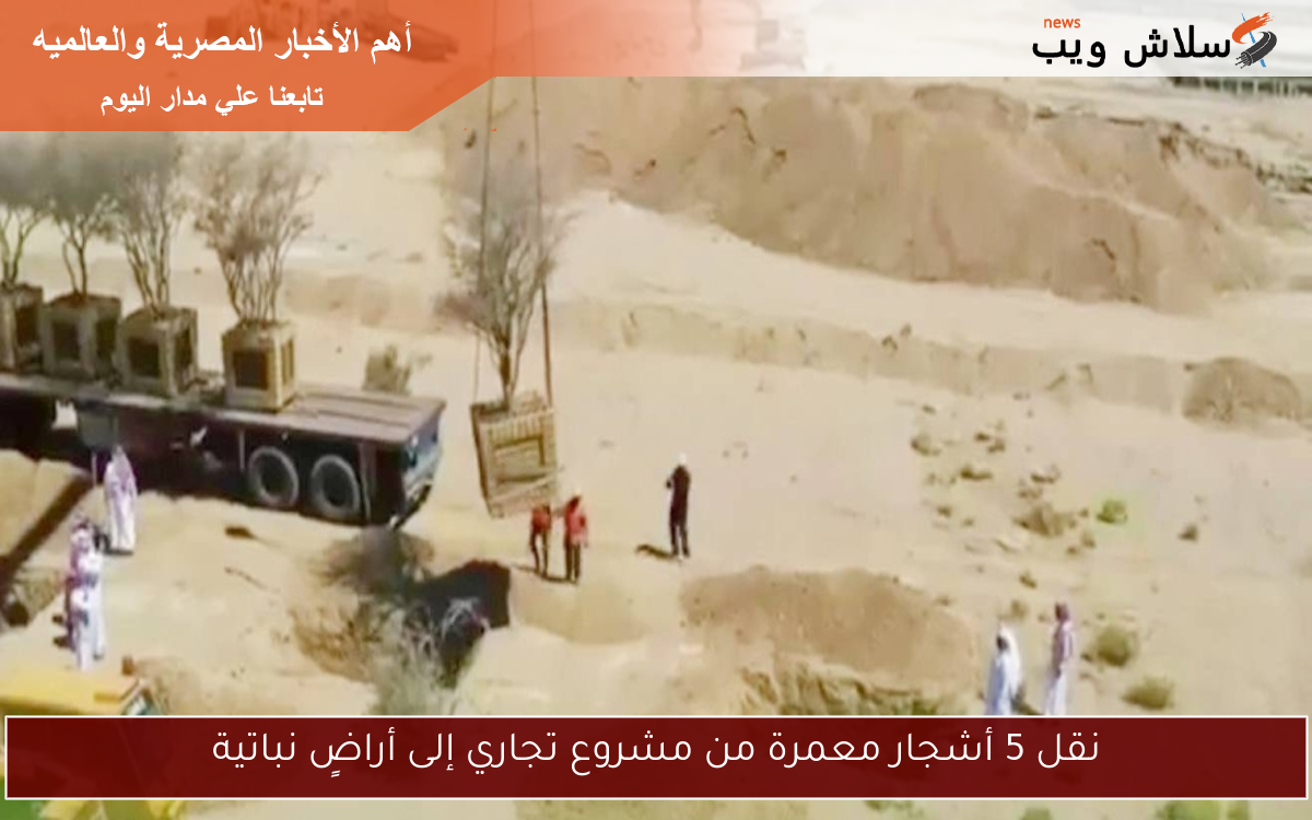 نقل 5 أشجار معمرة من مشروع تجاري إلى أراضٍ نباتية