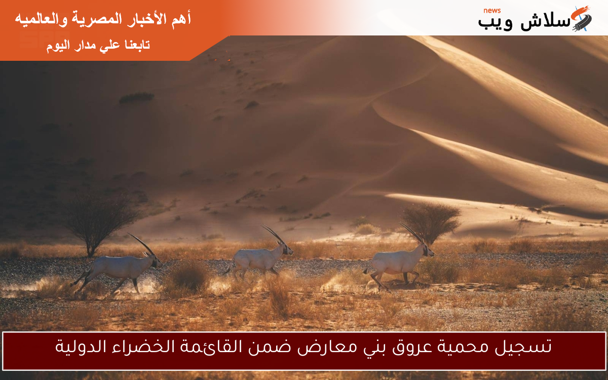 تسجيل محمية عروق بني معارض ضمن القائمة الخضراء الدولية 2 تسجيل محمية عروق بني معارض ضمن القائمة الخضراء الدولية