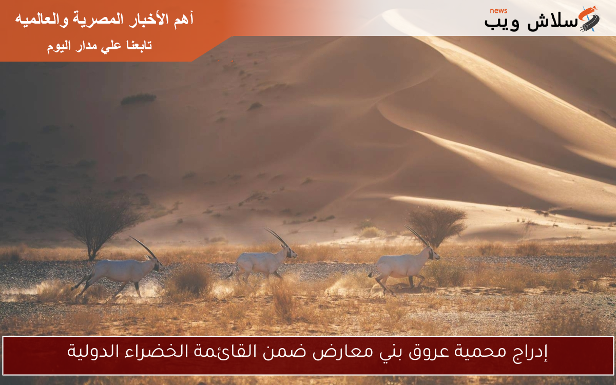 إدراج محمية عروق بني معارض ضمن القائمة الخضراء الدولية 2 إدراج محمية عروق بني معارض ضمن القائمة الخضراء الدولية