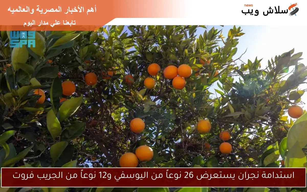 استدامة نجران يستعرض 26 نوعاً من اليوسفي و12 نوعاً من الجريب فروت