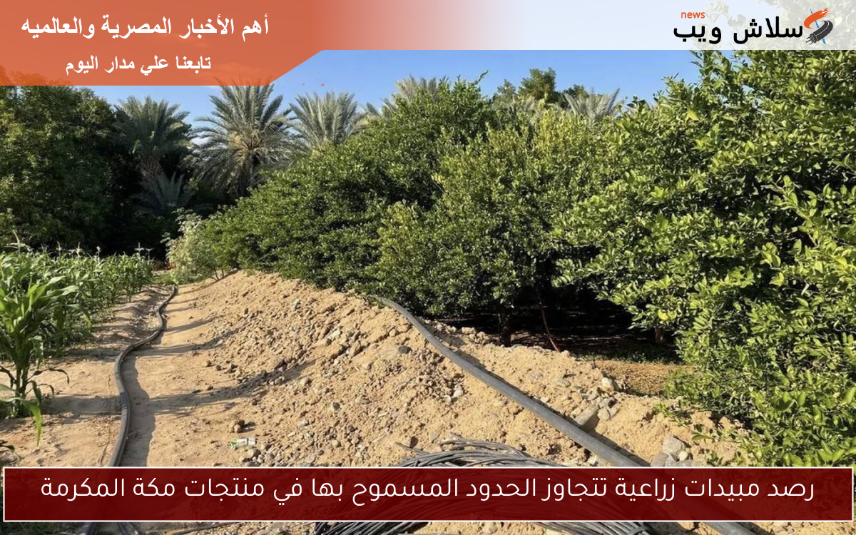 رصد مبيدات زراعية تتجاوز الحدود المسموح بها في منتجات مكة المكرمة