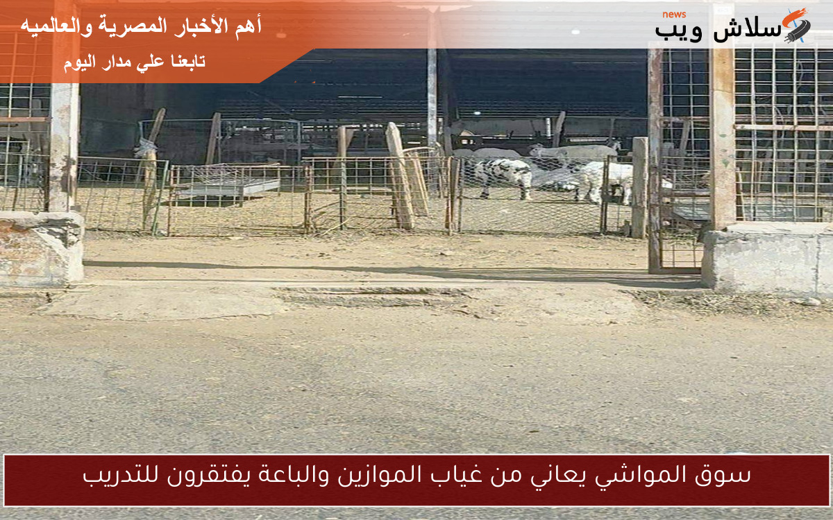 سوق المواشي يعاني من غياب الموازين والباعة يفتقرون للتدريب