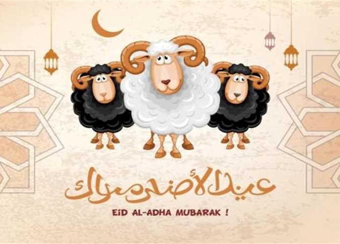 جانا العيد وهنعيّد.. تهنئة عيد الأضحي المُبارك 2025/1446 حملها وابعتها لأصحابك وحبايبك 5 تهنئة عيد الأضحي