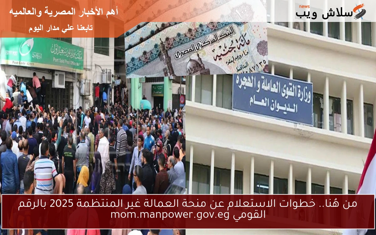 من هُنا.. خطوات الاستعلام عن منحة العمالة غير المنتظمة 2025 بالرقم القومي mom.manpower.gov.eg 2 من هُنا.. خطوات الاستعلام عن منحة العمالة غير المنتظمة 2025 بالرقم القومي mom.manpower.gov.eg