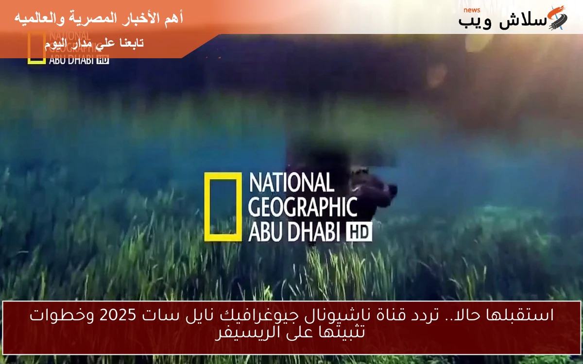 استقبلها حالا.. تردد قناة ناشيونال جيوغرافيك نايل سات 2025 وخطوات تثبيتها على الريسيفر 2 استقبلها حالا.. تردد قناة ناشيونال جيوغرافيك نايل سات 2025 وخطوات تثبيتها على الريسيفر