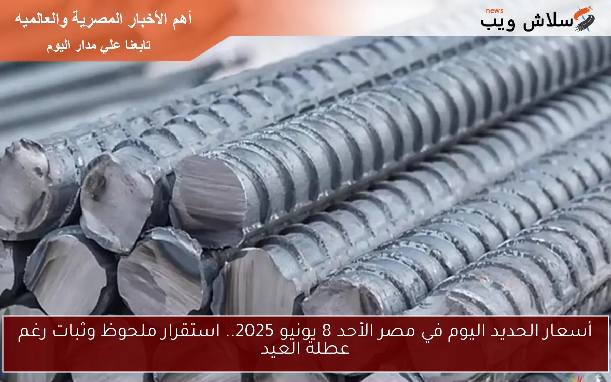 أسعار الحديد اليوم في مصر الأحد 8 يونيو 2025.. استقرار ملحوظ وثبات رغم عطلة العيد 2 أسعار الحديد اليوم في مصر الأحد 8 يونيو 2025.. استقرار ملحوظ وثبات رغم عطلة العيد