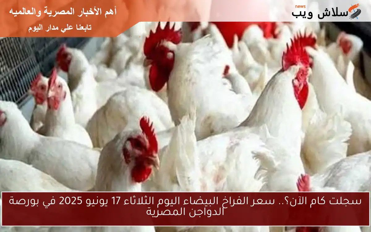 سجلت كام الآن؟.. سعر الفراخ البيضاء اليوم الثلاثاء 17 يونيو 2025 في بورصة الدواجن المصرية 2 سجلت كام الآن؟.. سعر الفراخ البيضاء اليوم الثلاثاء 17 يونيو 2025 في بورصة الدواجن المصرية