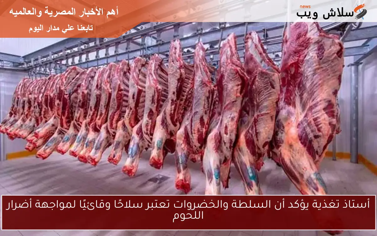 أستاذ تغذية يؤكد أن السلطة والخضروات تعتبر سلاحًا وقائيًا لمواجهة أضرار اللحوم 2 أستاذ تغذية يؤكد أن السلطة والخضروات تعتبر سلاحًا وقائيًا لمواجهة أضرار اللحوم