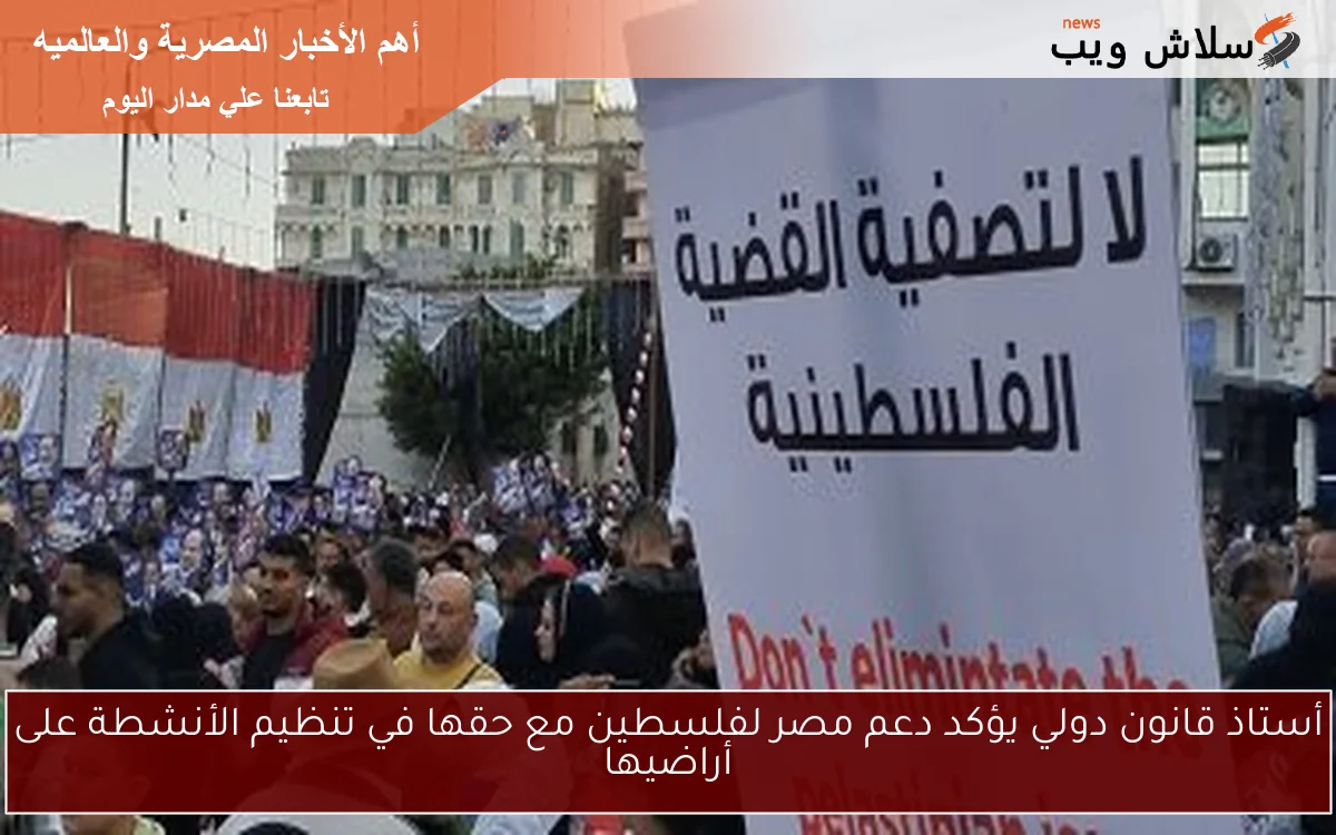 أستاذ قانون دولي يؤكد دعم مصر لفلسطين مع حقها في تنظيم الأنشطة على أراضيها 2 أستاذ قانون دولي يؤكد دعم مصر لفلسطين مع حقها في تنظيم الأنشطة على أراضيها