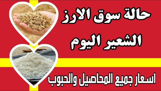 الطن بكام النهاردة ؟ .. أسعار الأرز الشعير والأبيض اليوم الثلاثاء 10 يونيو 2025 في الأسواق 2 الطن بكام النهاردة ؟ .. أسعار الأرز الشعير والأبيض اليوم الثلاثاء 10 يونيو 2025 في الأسواق