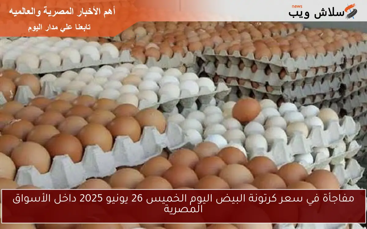 مفاجأة في سعر كرتونة البيض اليوم الخميس 26 يونيو 2025 داخل الأسواق المصرية