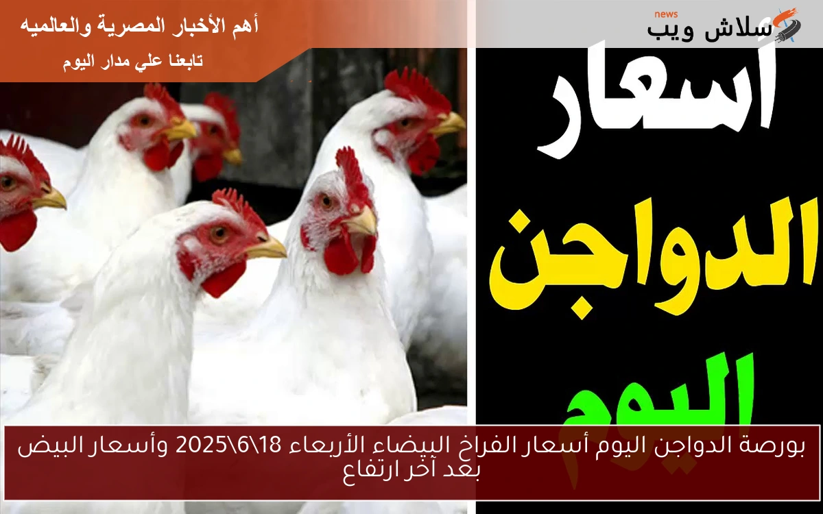 بورصة الدواجن اليوم أسعار الفراخ البيضاء الأربعاء 1862025 وأسعار البيض بعد آخر ارتفاع 2 بورصة الدواجن اليوم أسعار الفراخ البيضاء الأربعاء 18\6\2025 وأسعار البيض بعد آخر ارتفاع