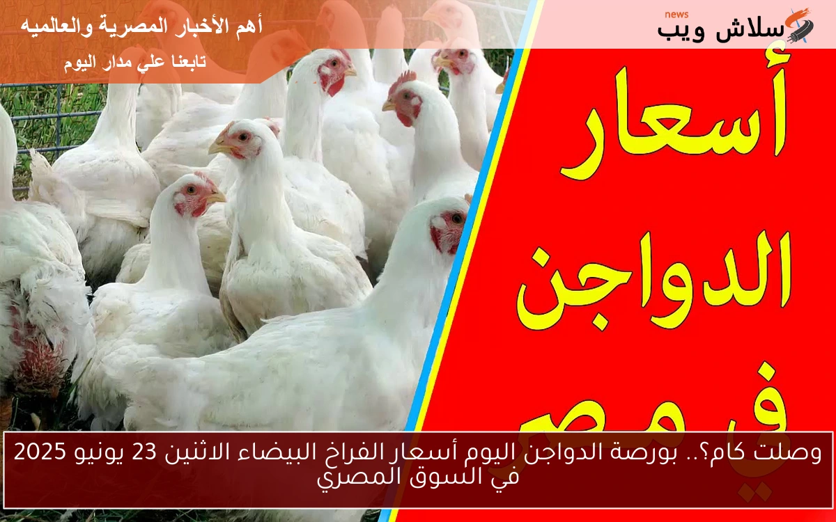 وصلت كام؟.. بورصة الدواجن اليوم أسعار الفراخ البيضاء الاثنين 23 يونيو 2025 في السوق المصري