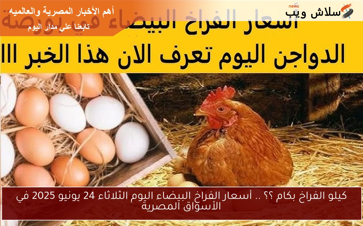 كيلو الفراخ بكام ؟؟ .. أسعار الفراخ البيضاء اليوم الثلاثاء 24 يونيو 2025 في الأسواق المصرية