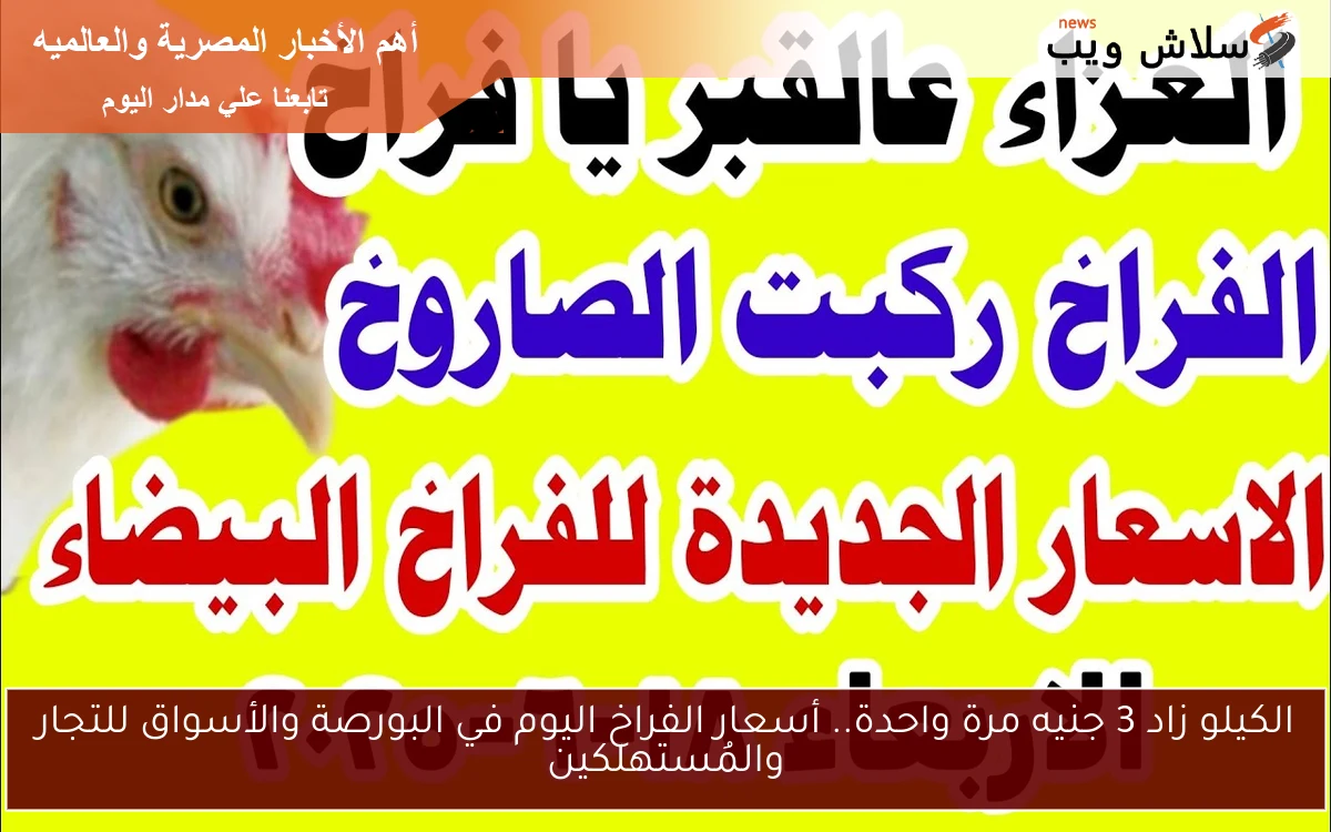 الكيلو زاد 3 جنيه مرة واحدة.. أسعار الفراخ اليوم في البورصة والأسواق للتجار والمُستهلكين 2 الكيلو زاد 3 جنيه مرة واحدة.. أسعار الفراخ اليوم في البورصة والأسواق للتجار والمُستهلكين