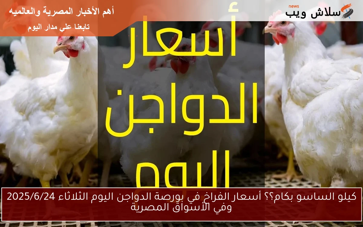 كيلو الساسو بكام؟؟ أسعار الفراخ في بورصة الدواجن اليوم الثلاثاء 2025/6/24 وفي الأسواق المصرية
