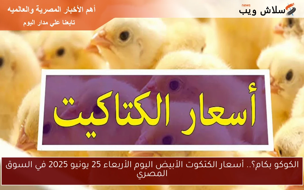 الكوكو بكام؟.. أسعار الكتكوت الأبيض اليوم الأربعاء 25 يونيو 2025 في السوق المصري 2 الكوكو بكام؟.. أسعار الكتكوت الأبيض اليوم الأربعاء 25 يونيو 2025 في السوق المصري