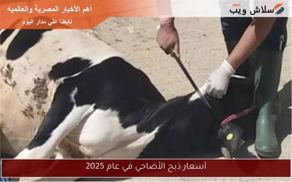 أسعار ذبح الأضاحي في عام 2025 2 أسعار ذبح الأضاحي في عام 2025