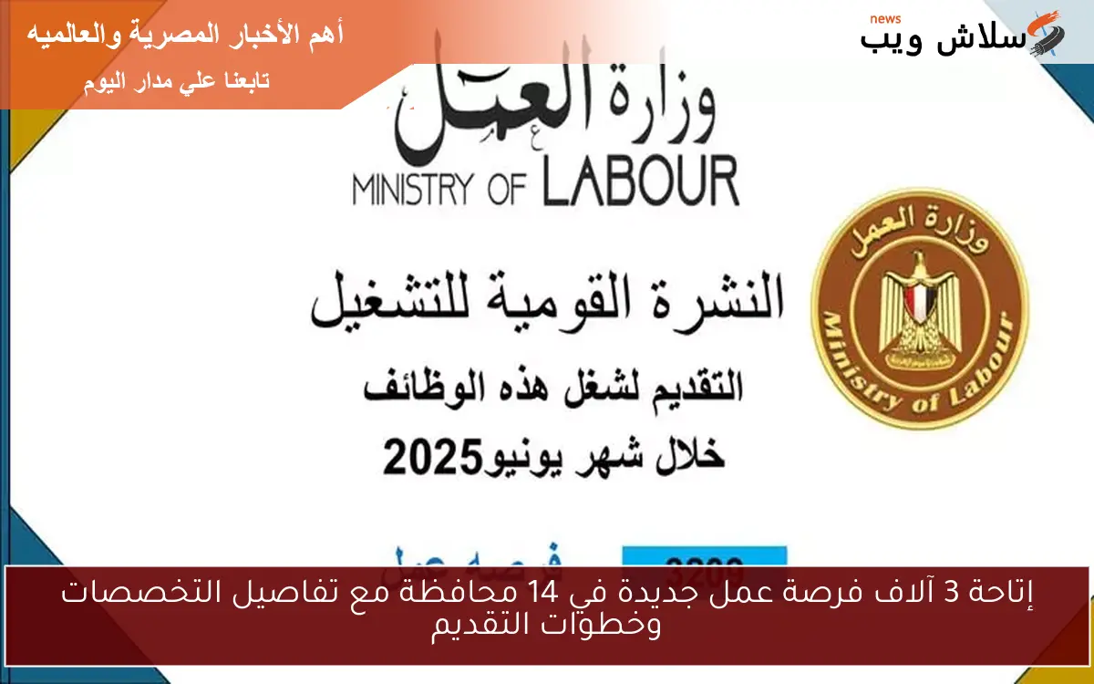 إتاحة 3 آلاف فرصة عمل جديدة في 14 محافظة مع تفاصيل التخصصات وخطوات التقديم 2 إتاحة 3 آلاف فرصة عمل جديدة في 14 محافظة مع تفاصيل التخصصات وخطوات التقديم
