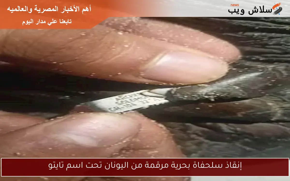 إنقاذ سلحفاة بحرية مرقمة من اليونان تحت اسم تايتو
