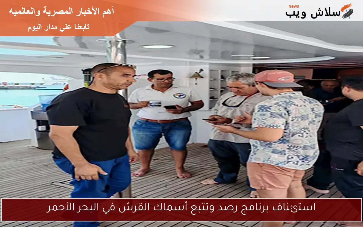 استئناف برنامج رصد وتتبع أسماك القرش في البحر الأحمر