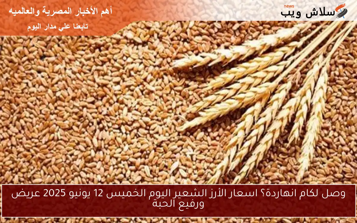 وصل لكام انهاردة؟ اسعار الأرز الشعير اليوم الخميس 12 يونيو 2025 عريض ورفيع الحبة 2 وصل لكام انهاردة؟ اسعار الأرز الشعير اليوم الخميس 12 يونيو 2025 عريض ورفيع الحبة
