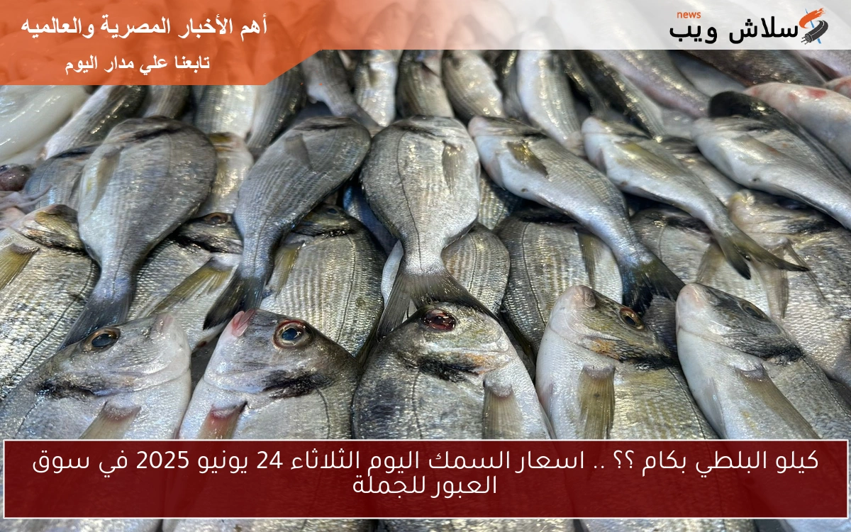 كيلو البلطي بكام ؟؟ .. اسعار السمك اليوم الثلاثاء 24 يونيو 2025 في سوق العبور للجملة