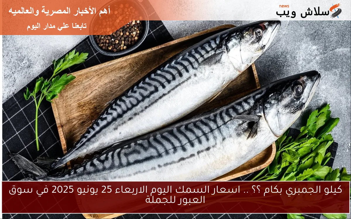 كيلو الجمبري بكام ؟؟ .. اسعار السمك اليوم الاربعاء 25 يونيو 2025 في سوق العبور للجملة