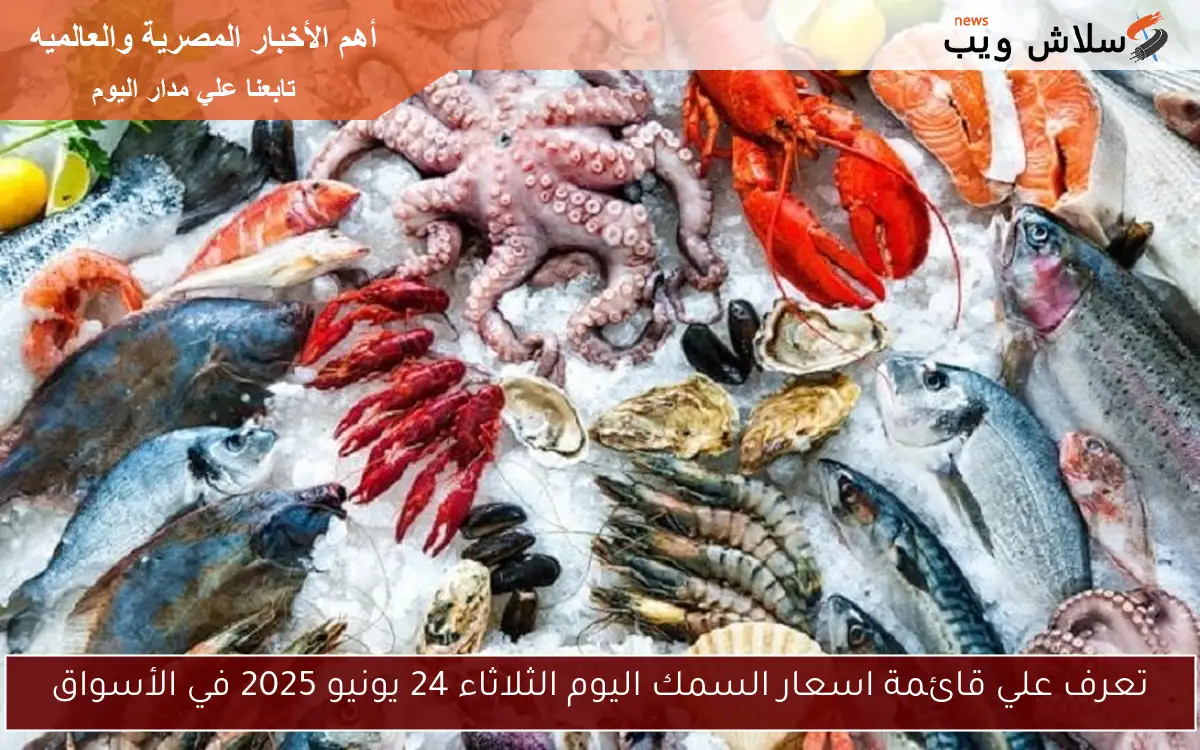تعرف علي قائمة اسعار السمك اليوم الثلاثاء 24 يونيو 2025 في الأسواق
