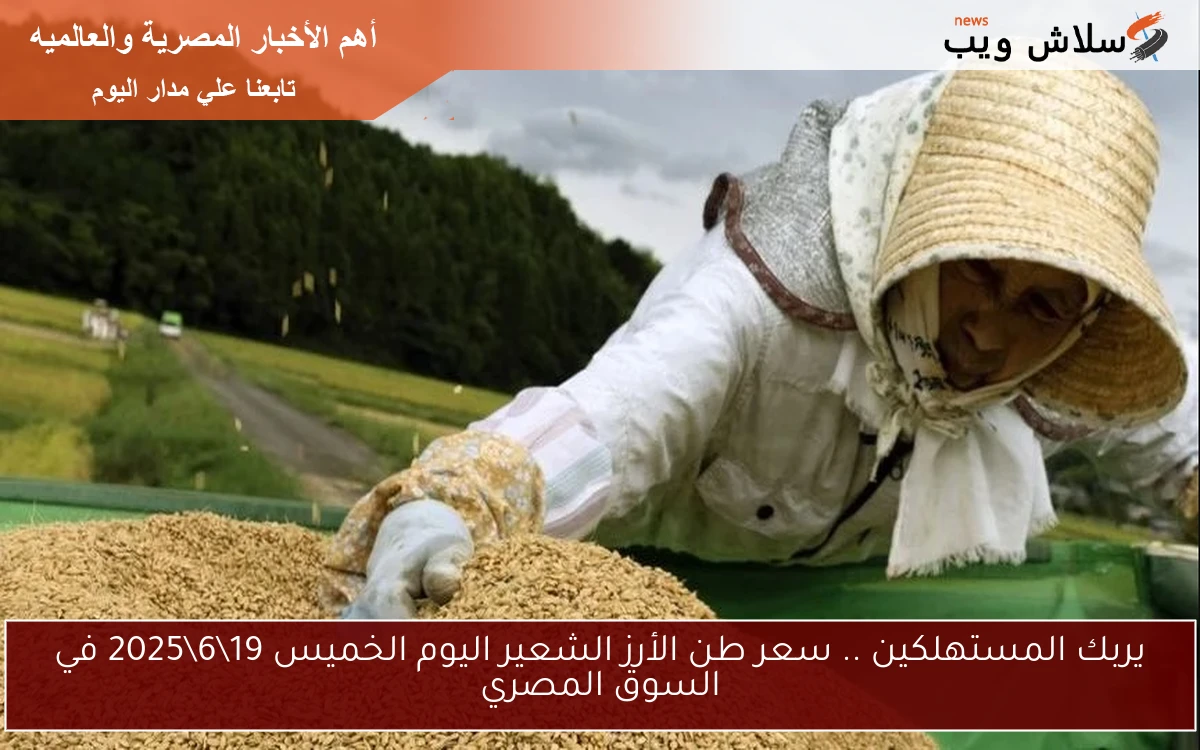 يربك المستهلكين .. سعر طن الأرز الشعير اليوم الخميس 1962025 في السوق المصري 2 يربك المستهلكين .. سعر طن الأرز الشعير اليوم الخميس 19\6\2025 في السوق المصري