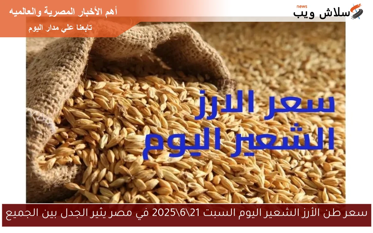 سعر طن الأرز الشعير اليوم السبت 21\6\2025 في مصر يثير الجدل بين الجميع