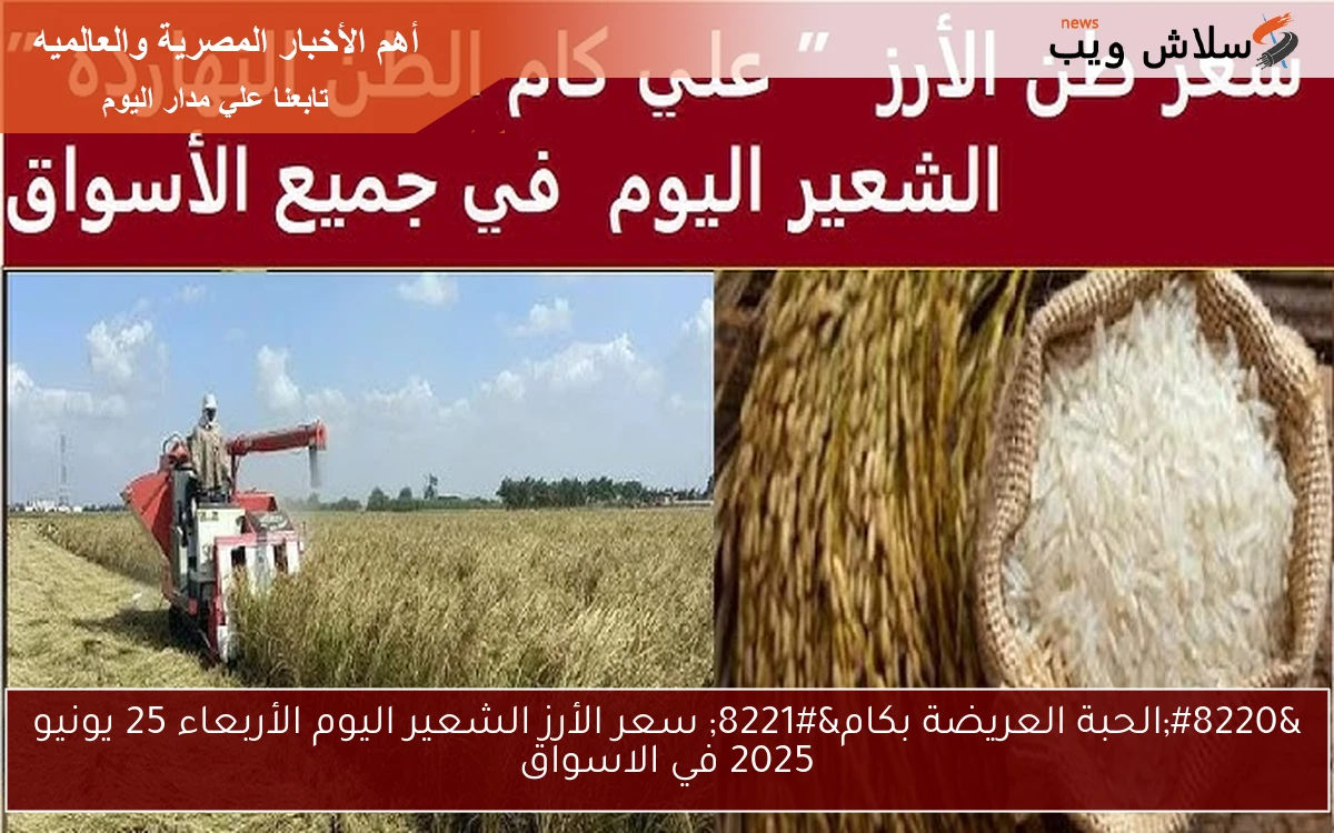 “الحبة العريضة بكام” سعر الأرز الشعير اليوم الأربعاء 25 يونيو 2025 في الاسواق