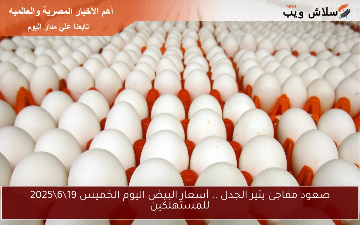 صعود مفاجئ يثير الجدل .. أسعار البيض اليوم الخميس 19\6\2025 للمستهلكين