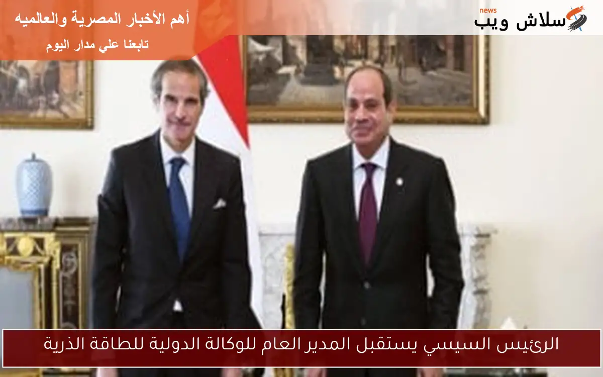 الرئيس السيسي يستقبل المدير العام للوكالة الدولية للطاقة الذرية 2 الرئيس السيسي يستقبل المدير العام للوكالة الدولية للطاقة الذرية