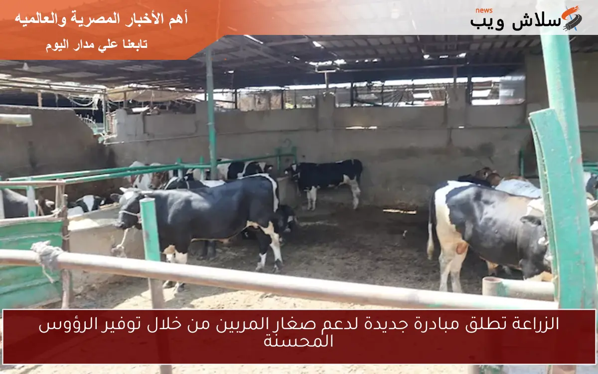الزراعة تطلق مبادرة جديدة لدعم صغار المربين من خلال توفير الرؤوس المحسنة 2 الزراعة تطلق مبادرة جديدة لدعم صغار المربين من خلال توفير الرؤوس المحسنة