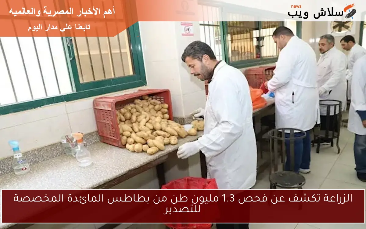 الزراعة تكشف عن فحص 1.3 مليون طن من بطاطس المائدة المخصصة للتصدير 2 الزراعة تكشف عن فحص 1.3 مليون طن من بطاطس المائدة المخصصة للتصدير